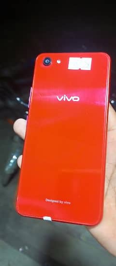 vivo