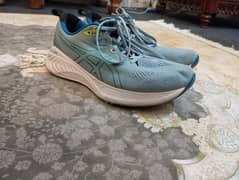 Asics Gel Cumulus 25