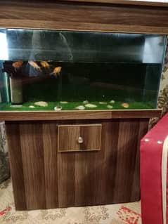 Fish Aquarium 3ft With 4 Gold Fish 