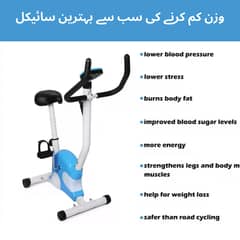 Heavy-Duty Portable Exercise Cycle – Made in Taiwan, Best for Fitness!