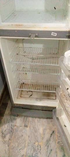 Fridge