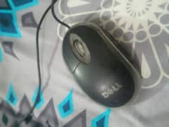 Mouse