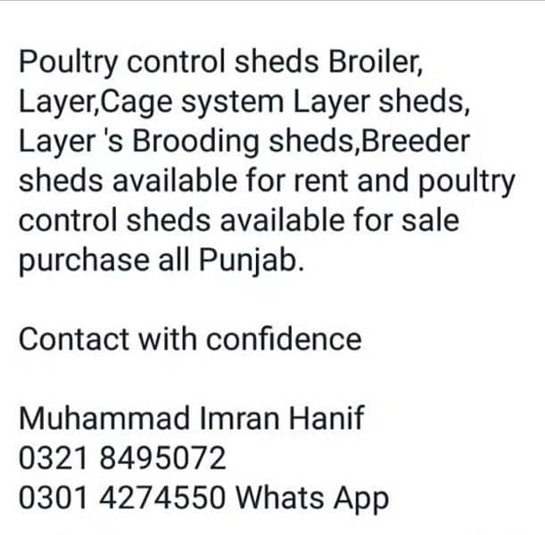 Poultry Control Shed for rent Pakpattan 1