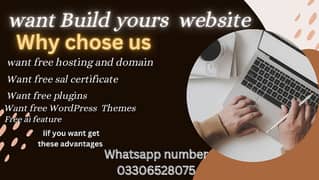 WordPress developer| in cheap prices