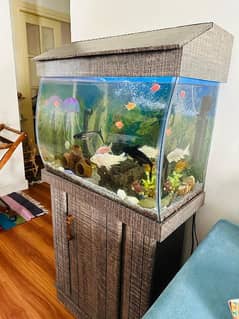 Excellent condition Aquarium for Sale