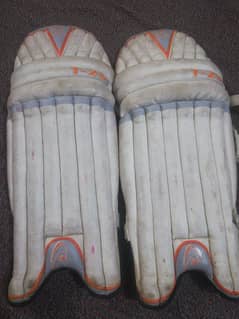 batting pads