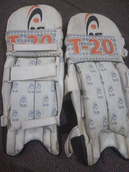 batting pads 1