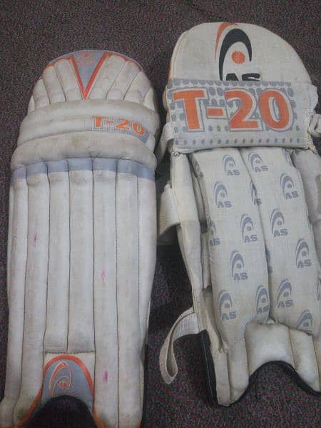 batting pads 2