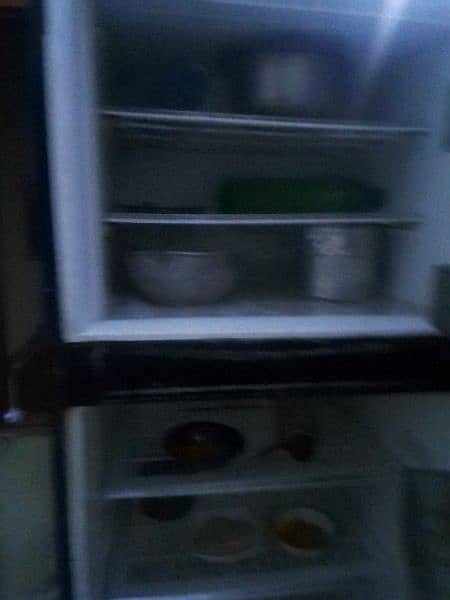 pel refrigerator 4