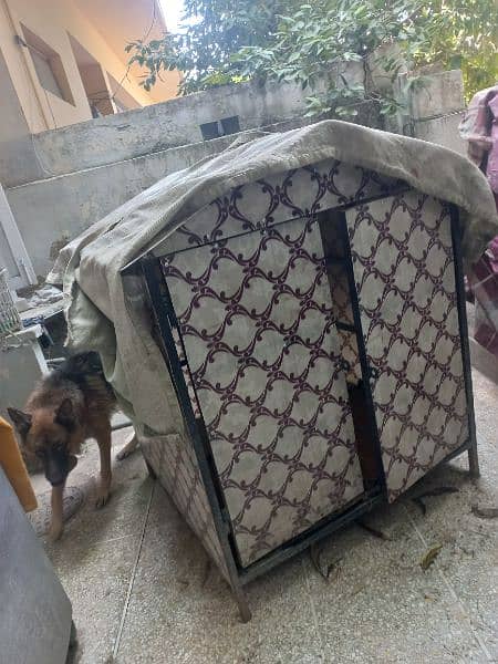 Almost New Dog House for Sale 3