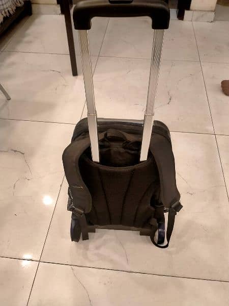 Lucciola brand new Trolly Luggage bag 11