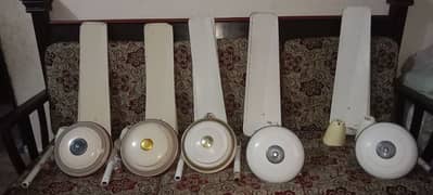 Good condition celling fan for sal geneion copper winding