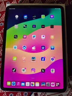 Ipad pro 11 m2 256/8