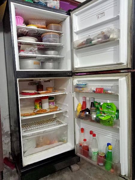 Pel Refrigerator 0