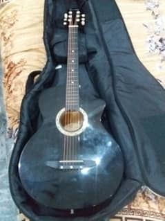 Beautiful Travelling Guitar