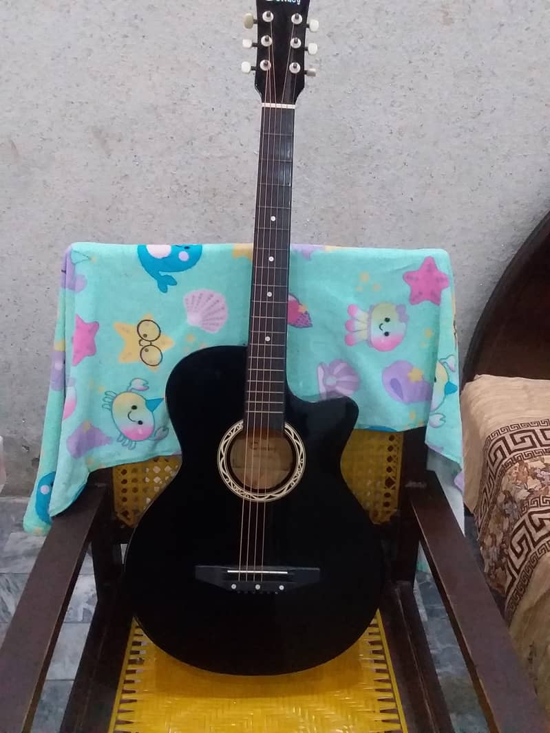 Beautiful Travelling Guitar 4