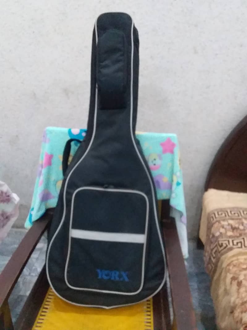 Beautiful Travelling Guitar 5