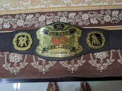 WWE TAG TEAM BELT