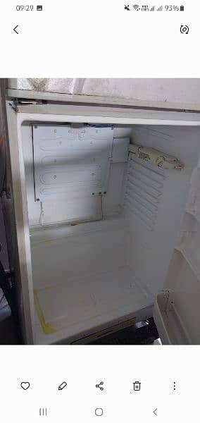 Full size fridge 12