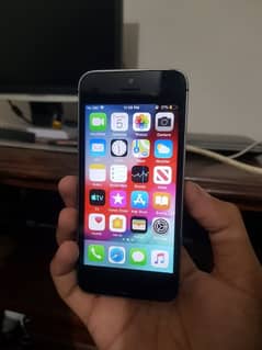 iPhone 5s Non Pta