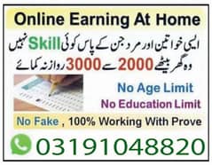 Online job available, Typing/Assignment/Data Entry/Ad posting etc