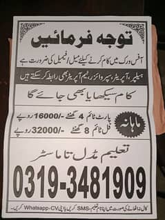 jobs For Male and female