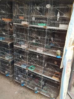 cages for sale