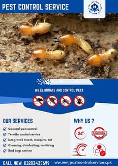 Deemak control - Fumigation service - pest control service 0