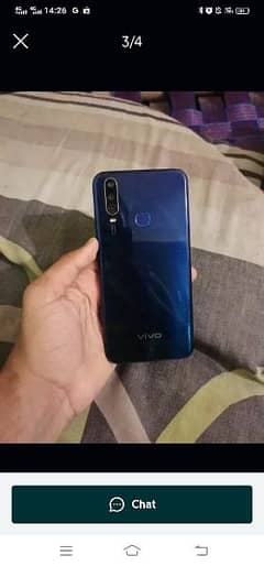 vivo