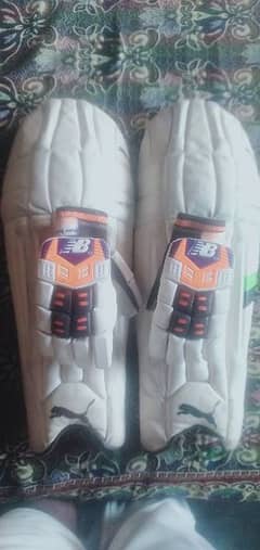 batting pads and gloves