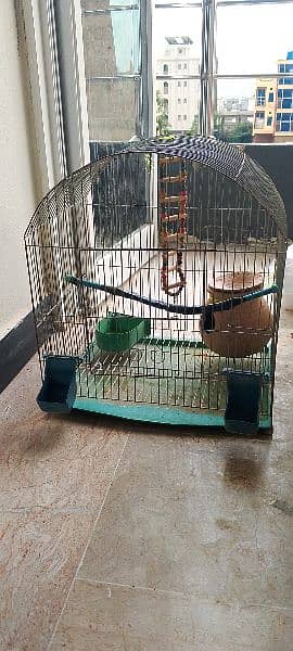 Best cage for Birds 1