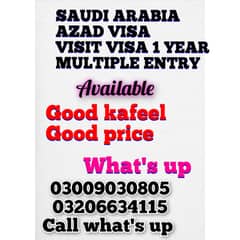 SAUDI ARABIA work azad visa visa visa 1 year multiple entry 0