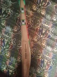 English willow bat and batting gloves 0