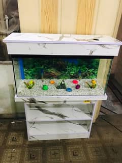 3 fit brand new fish aquarium