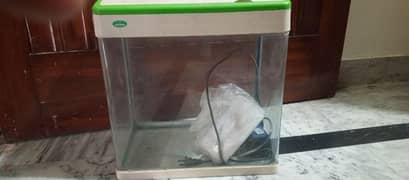 imported glass fish aquarium