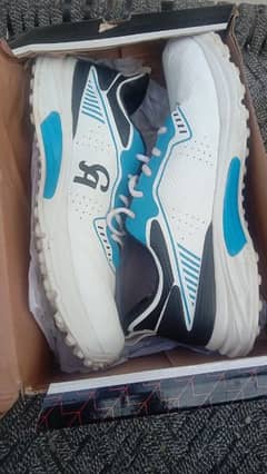 CA Sports shoes