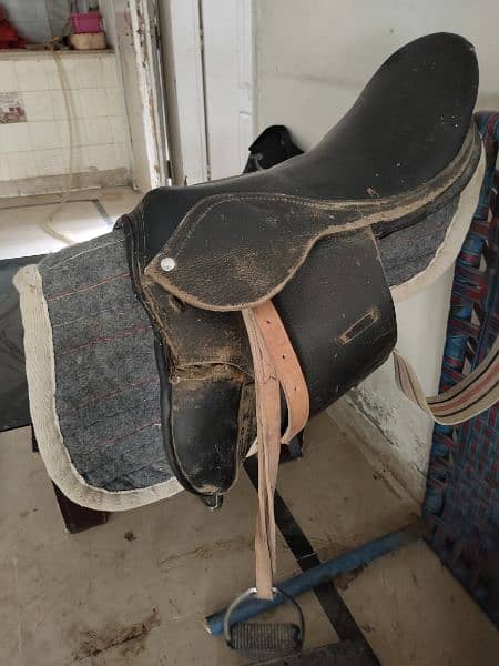 horse saddle for sale 4