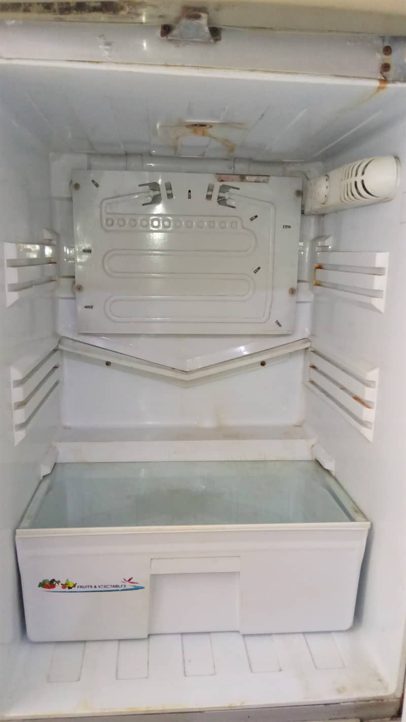 PEL Freezer / Refrigerator With Medium Size 5