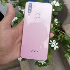 vivo