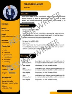 Professional CV maker All Pakistan contact Whatapp 0312-0240474