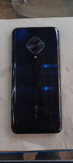 vivo