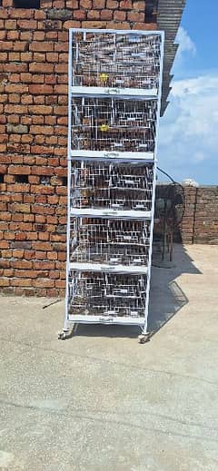 5 portion cage for sale