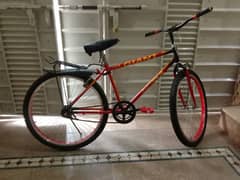 GIANT CYCLE FOR SALE 0