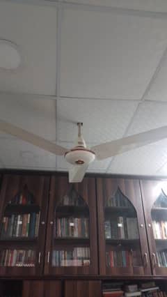 Sale Ceiling Fan (Pak Fan , GFC , Royal , Millat etc)