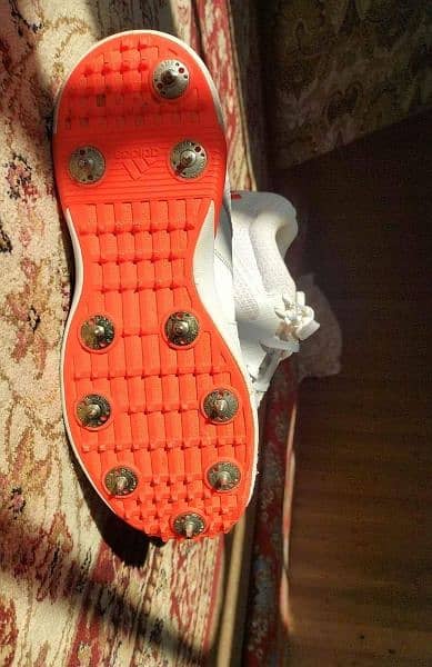 Adidas spikes 2