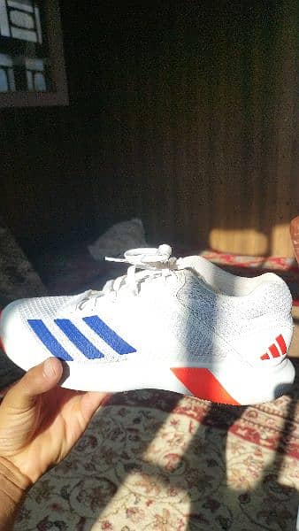 Adidas spikes 4