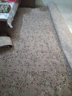 carpet