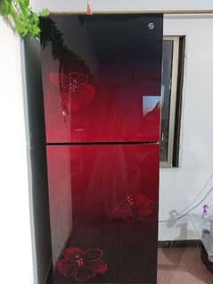 Pel refrigerator for only RS. 80,000 0