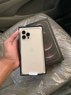 iphone 12 pro max pta approved