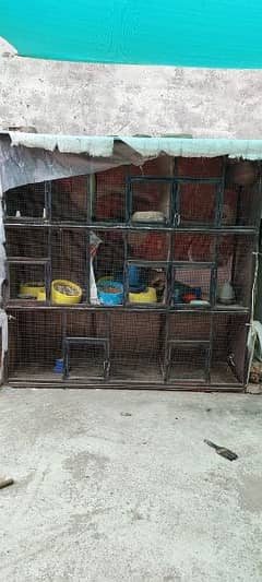 Iron cage for birds